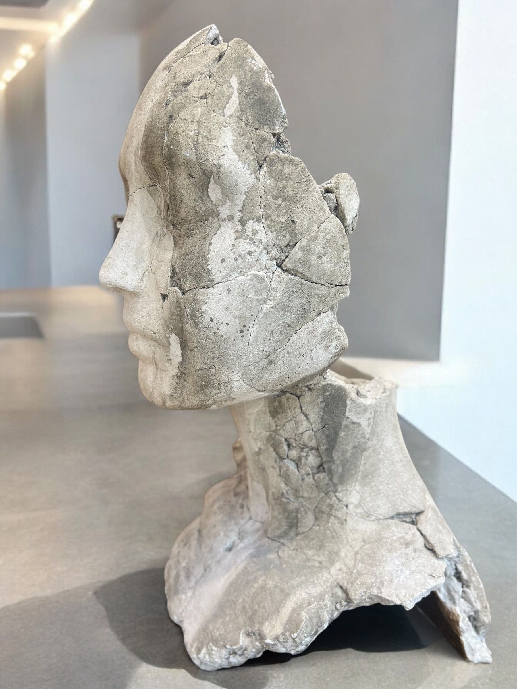 EXUVIA I - Tania Font - 5