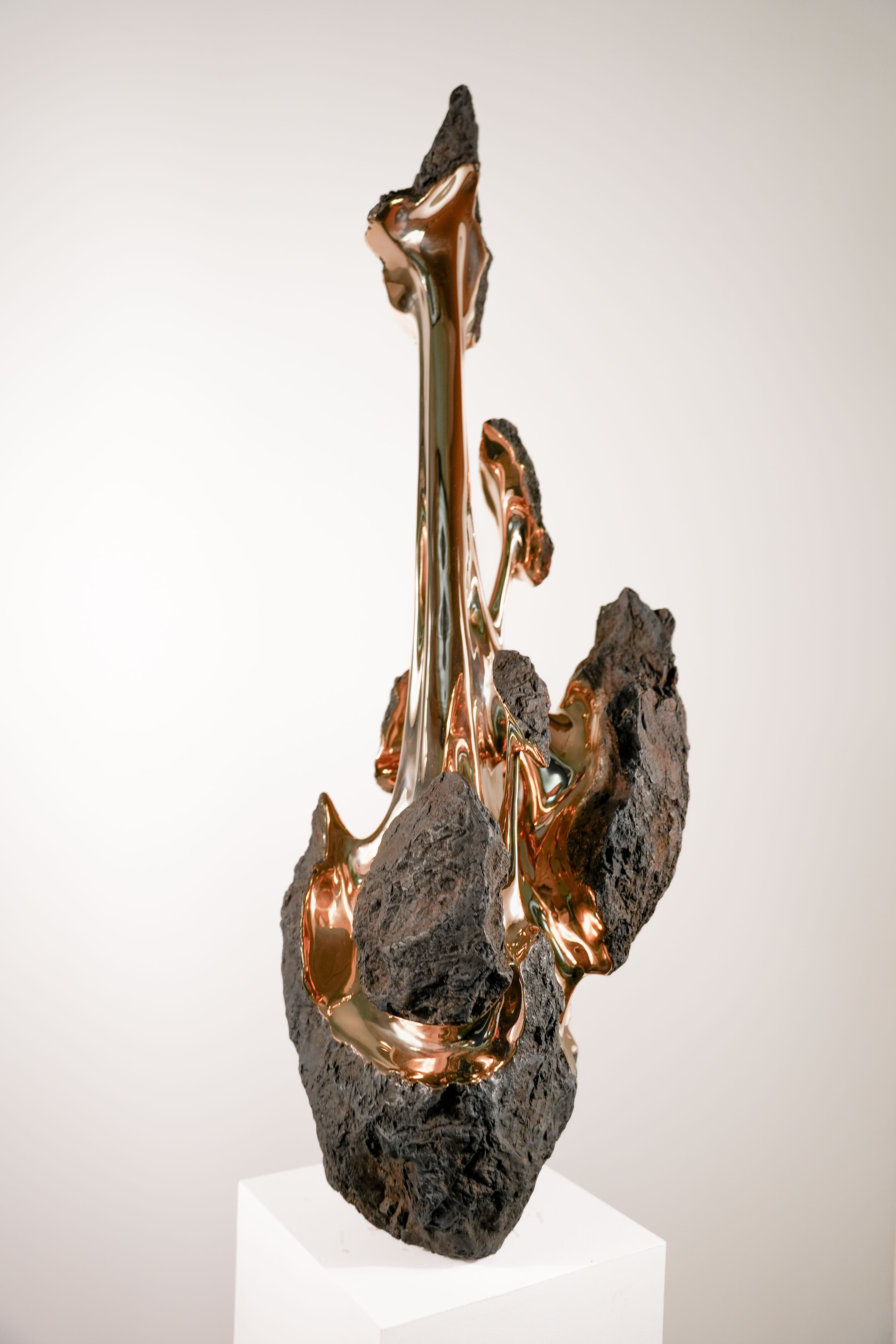 HYAKUTAKE - Romain Langlois - 1