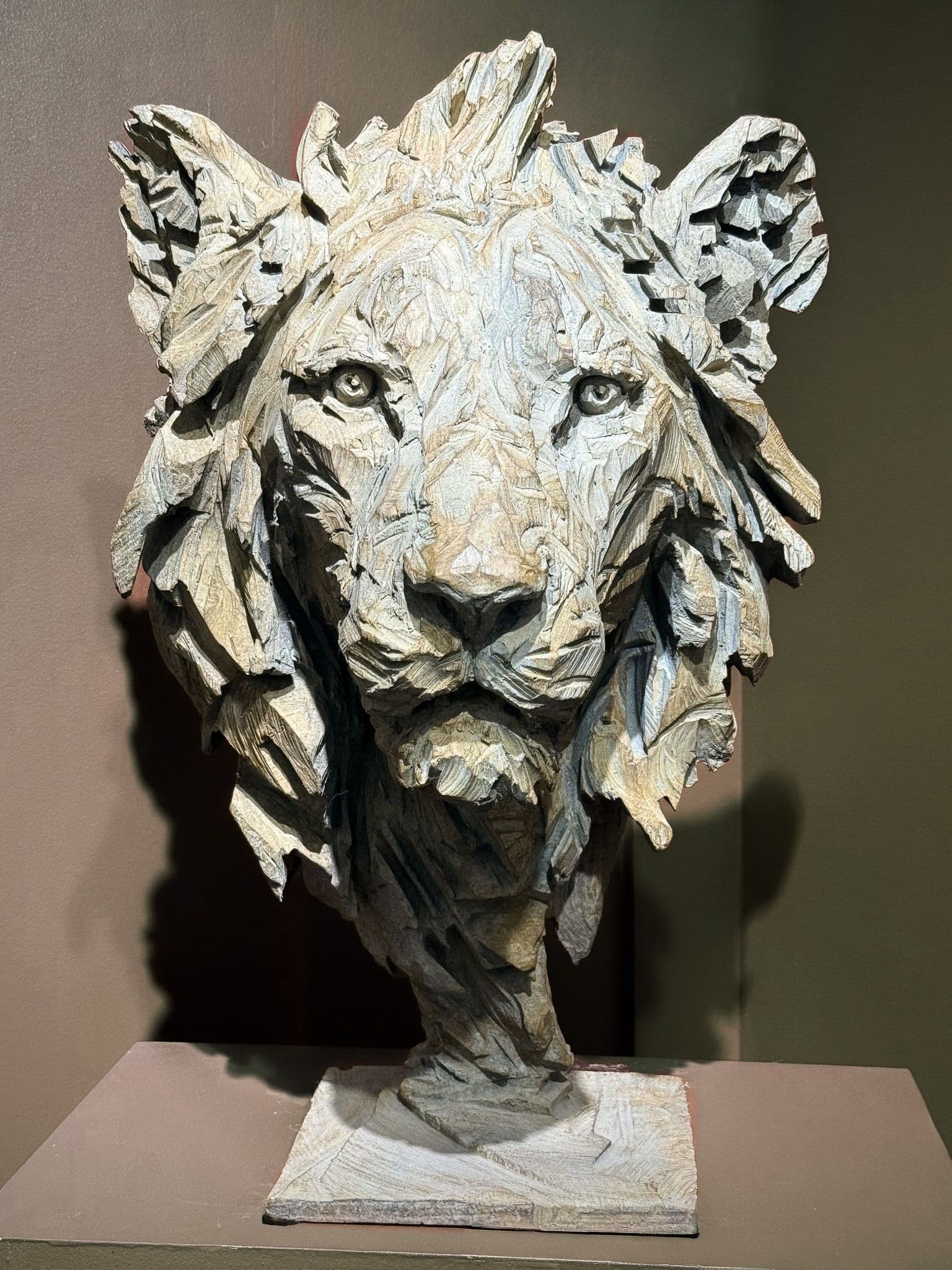 KIMBA - Jurgen Lingl - 2