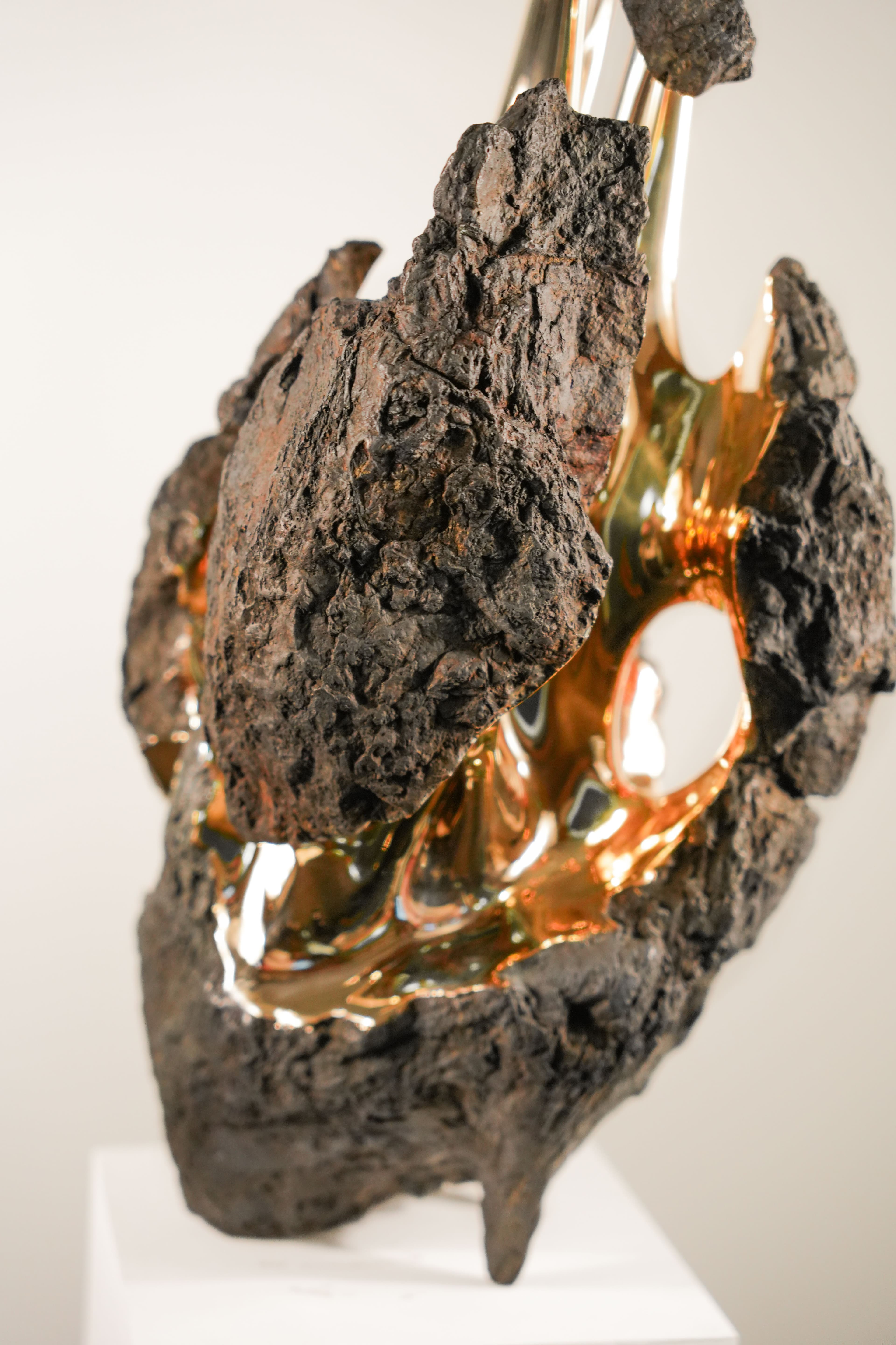 HYAKUTAKE - Romain Langlois - 3