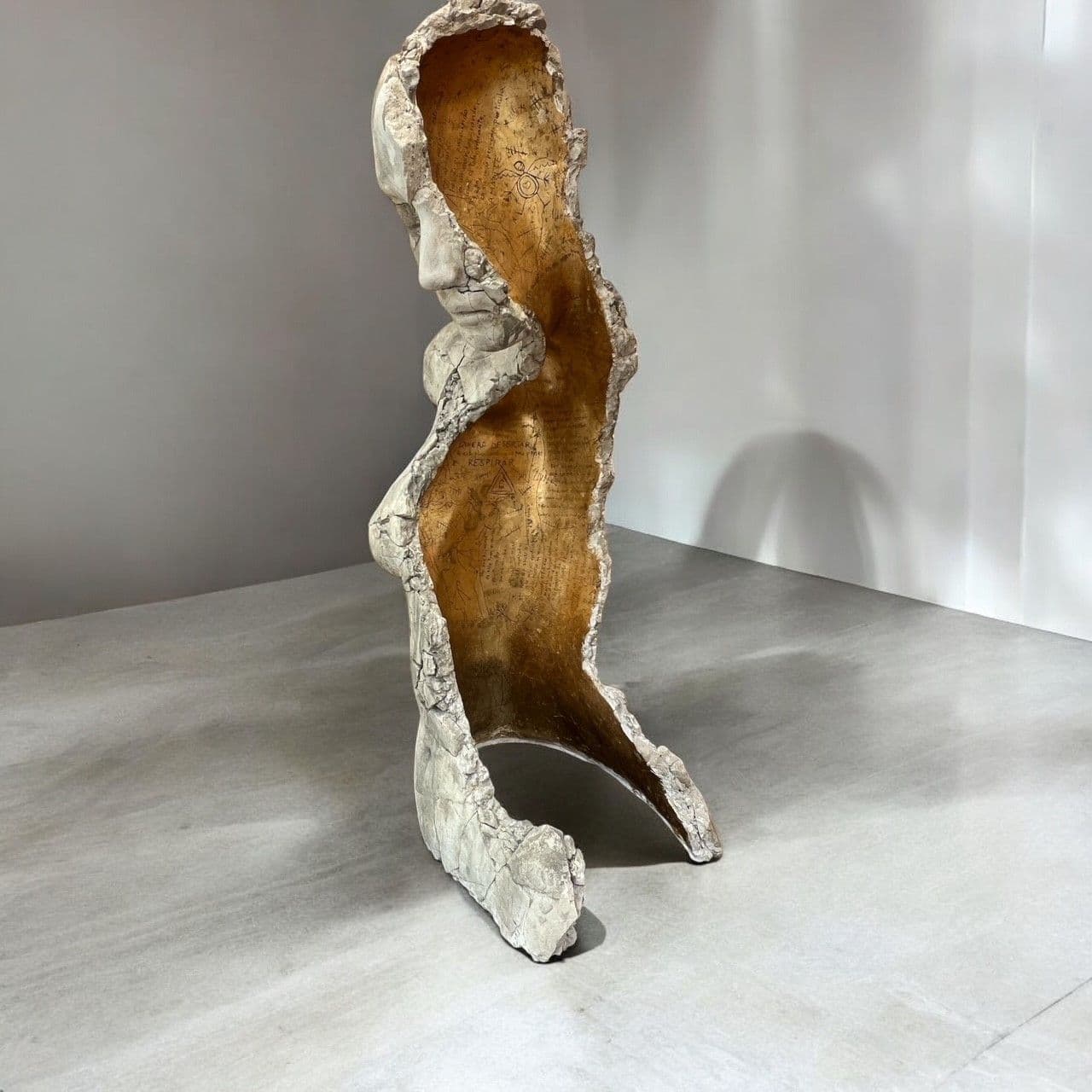 EXUVIA MISSING - Tania Font - 2