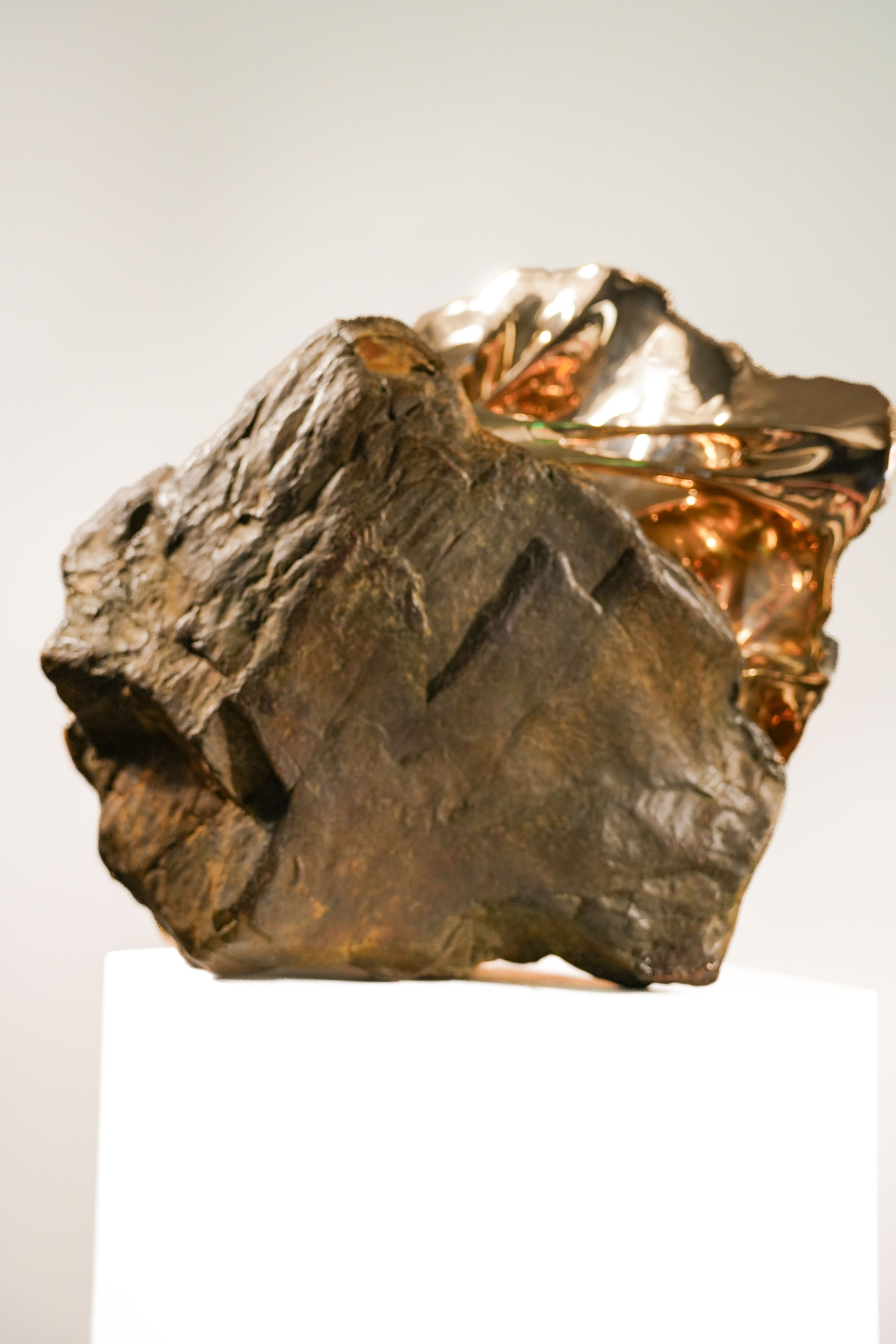 LA BELLE ENDORMIE - Romain Langlois - 5