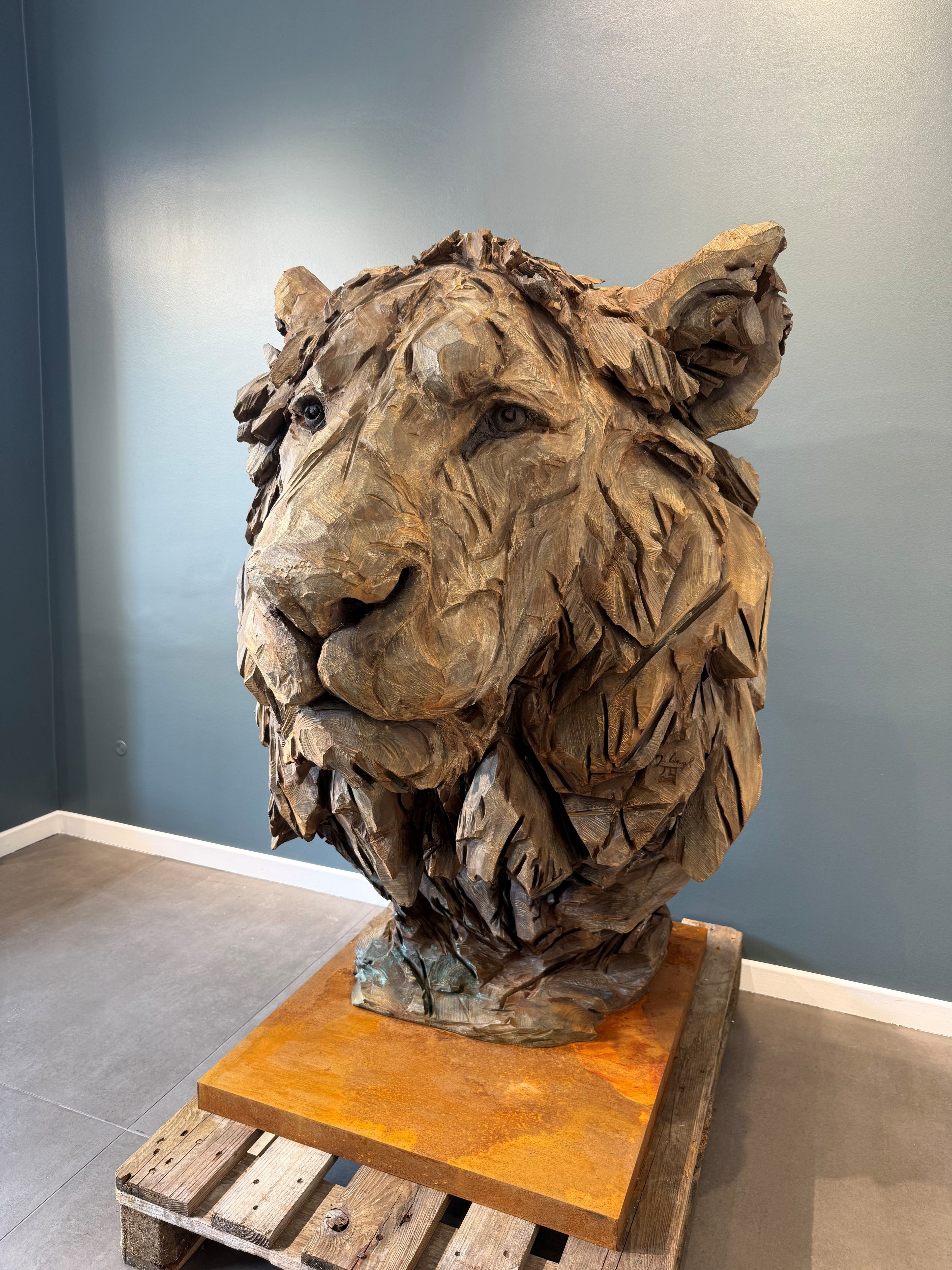 BIG LION KING - Jurgen Lingl - 2