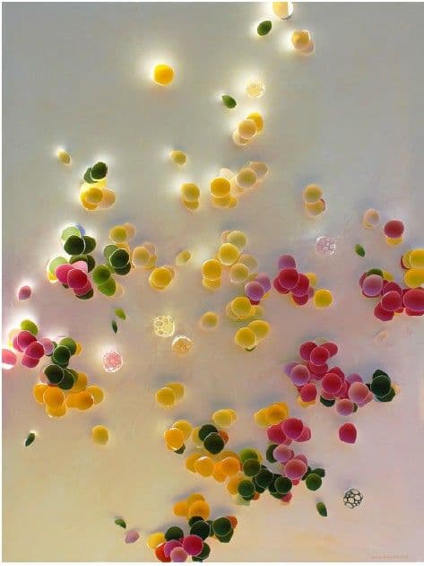 IN LIGHT'S EMBRACE II - LARISA SAFARYAN - 1