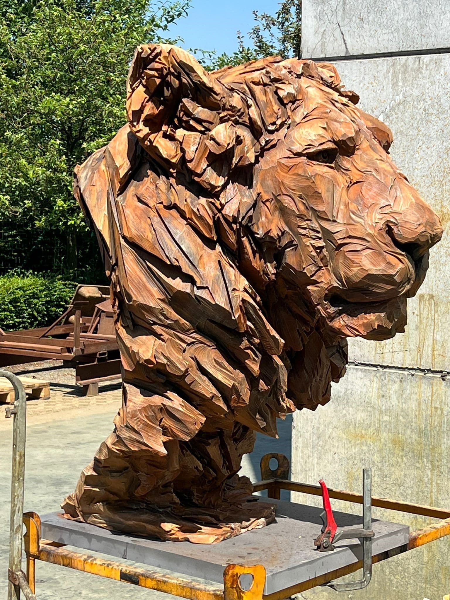 BIG LION KING - Jurgen Lingl - 4