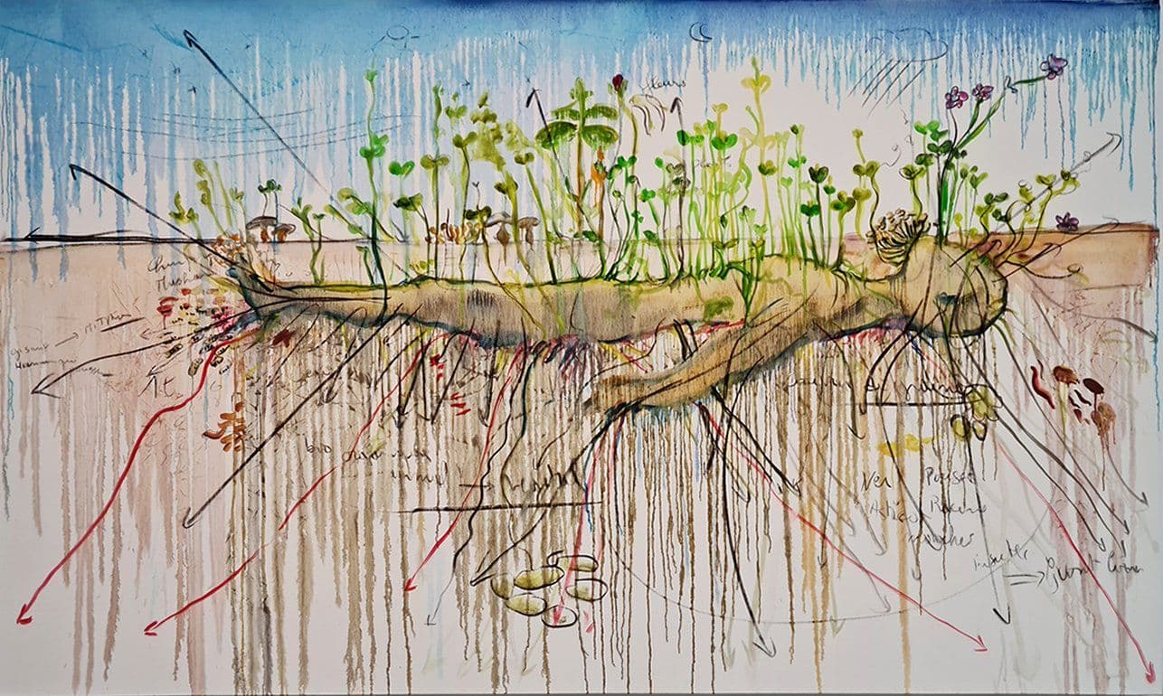 Fabrice Hyber : l'art en mouvement perpétuel