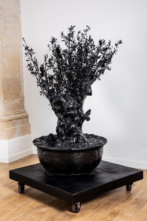 Dark olivier - PHILIPPE PASQUA - 1