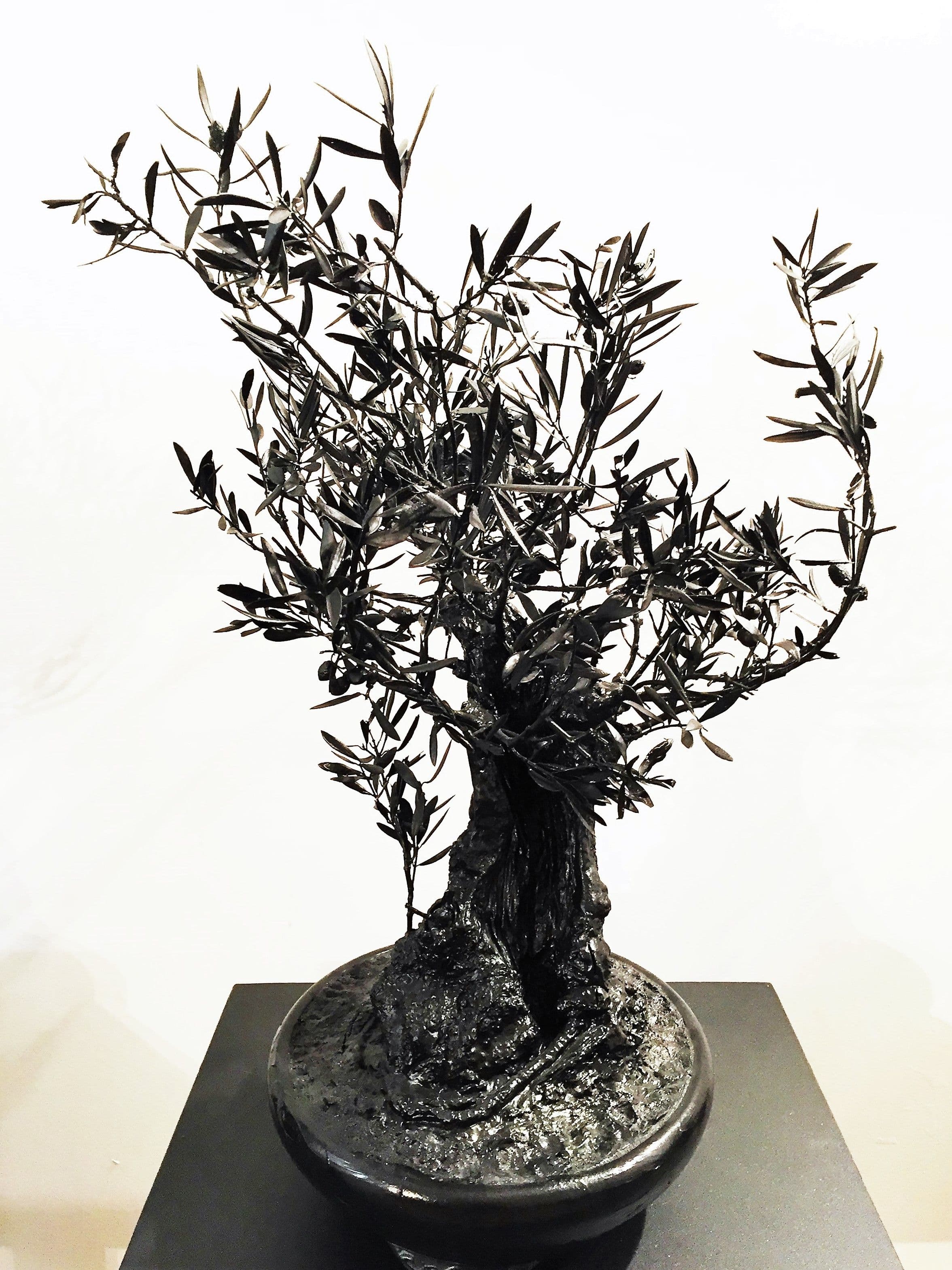 Arbustre - PHILIPPE PASQUA